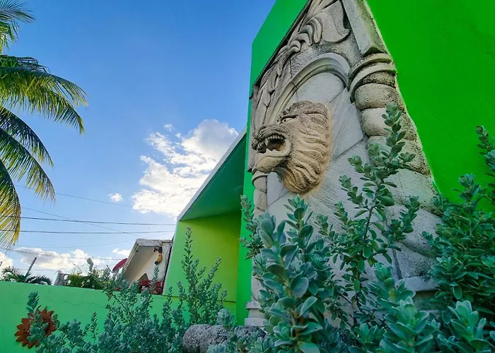 Villa Leo Downtown